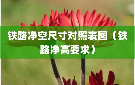 铁路净空尺寸对照表图（铁路净高要求）