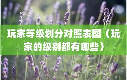 玩家等级划分对照表图（玩家的级别都有哪些）