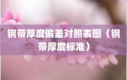 钢带厚度偏差对照表图（钢带厚度标准）