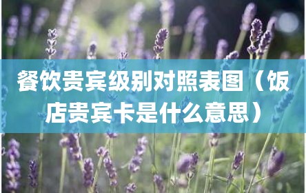 餐饮贵宾级别对照表图（饭店贵宾卡是什么意思）