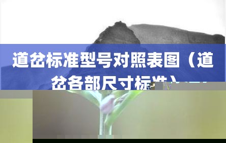 道岔标准型号对照表图（道岔各部尺寸标准）