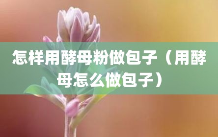 怎样用酵母粉做包子（用酵母怎么做包子）