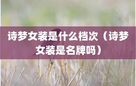 诗梦女装是什么档次（诗梦女装是名牌吗）