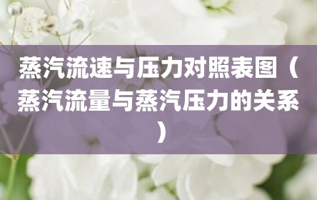 蒸汽流速与压力对照表图（蒸汽流量与蒸汽压力的关系）