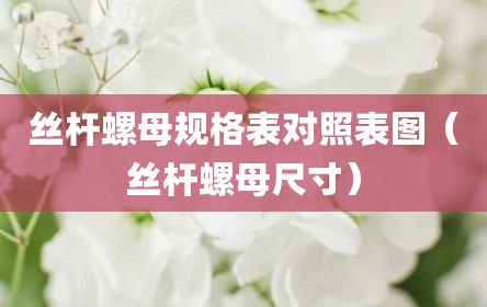 丝杆螺母规格表对照表图（丝杆螺母尺寸）