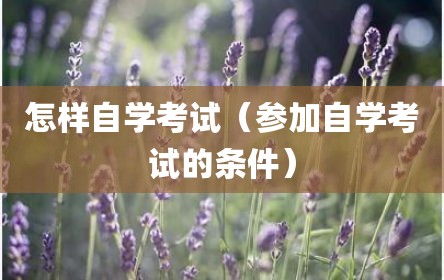 怎样自学考试（参加自学考试的条件）