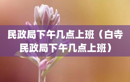 民政局下午几点上班（白寺民政局下午几点上班）