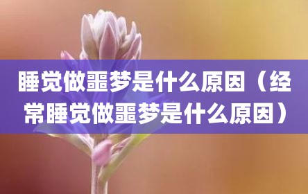 睡觉做噩梦是什么原因（经常睡觉做噩梦是什么原因）