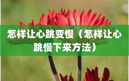 怎样让心跳变慢（怎样让心跳慢下来方法）