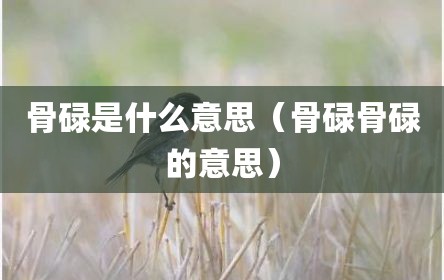 骨碌是什么意思（骨碌骨碌的意思）