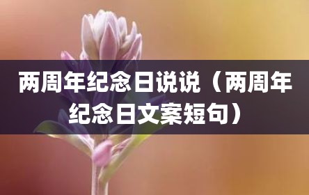 两周年纪念日说说（两周年纪念日文案短句）