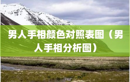 男人手相颜色对照表图（男人手相分析图）
