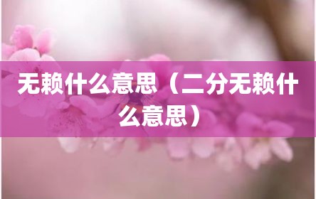 无赖什么意思（二分无赖什么意思）