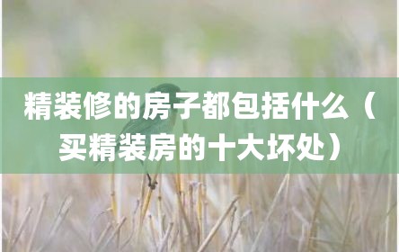 精装修的房子都包括什么（买精装房的十大坏处）