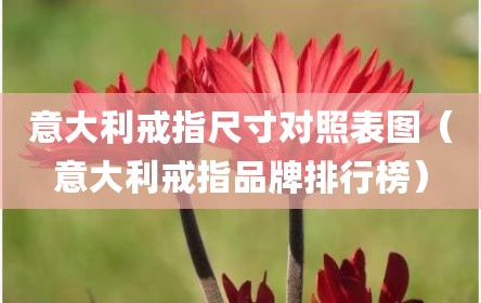 意大利戒指尺寸对照表图（意大利戒指品牌排行榜）