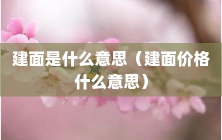 建面是什么意思（建面价格什么意思）