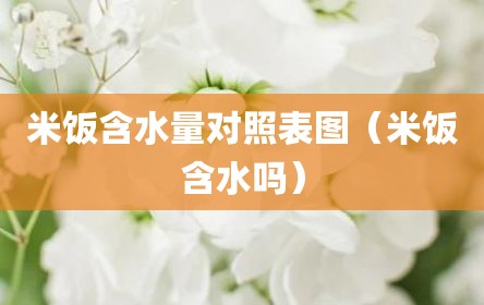 米饭含水量对照表图（米饭含水吗）