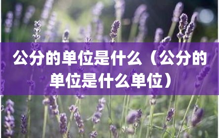 公分的单位是什么（公分的单位是什么单位）