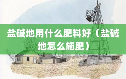 盐碱地用什么肥料好（盐碱地怎么施肥）