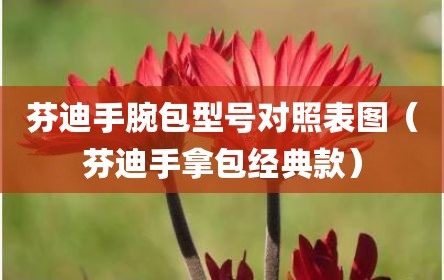 芬迪手腕包型号对照表图（芬迪手拿包经典款）