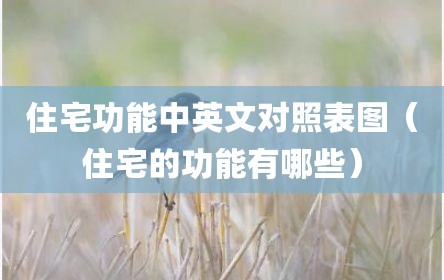 住宅功能中英文对照表图（住宅的功能有哪些）