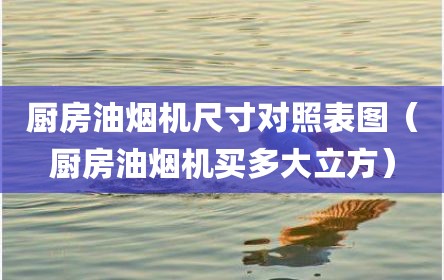 厨房油烟机尺寸对照表图（厨房油烟机买多大立方）