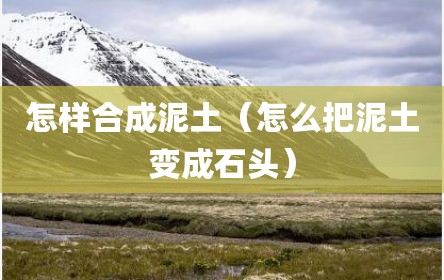 怎样合成泥土（怎么把泥土变成石头）