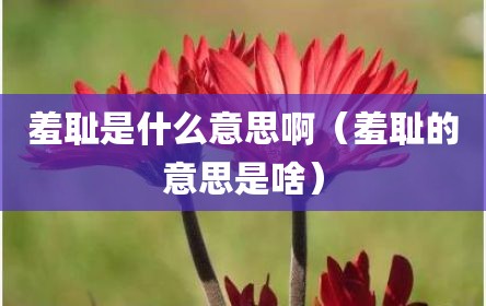 羞耻是什么意思啊（羞耻的意思是啥）