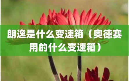 朗逸是什么变速箱（奥德赛用的什么变速箱）