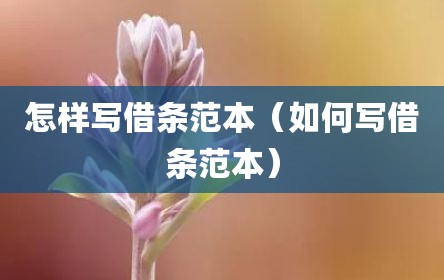 怎样写借条范本（如何写借条范本）