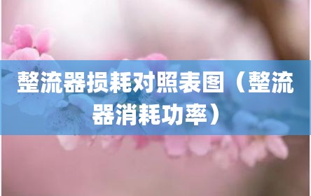 整流器损耗对照表图（整流器消耗功率）