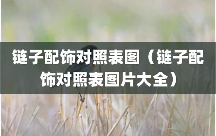 链子配饰对照表图（链子配饰对照表图片大全）