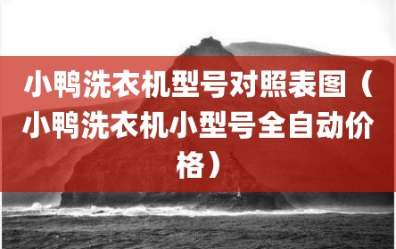 小鸭洗衣机型号对照表图（小鸭洗衣机小型号全自动价格）