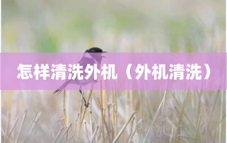 怎样清洗外机（外机清洗）