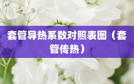 套管导热系数对照表图（套管传热）