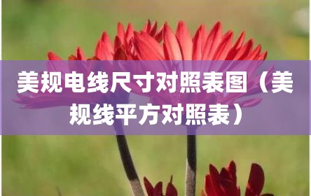 美规电线尺寸对照表图（美规线平方对照表）