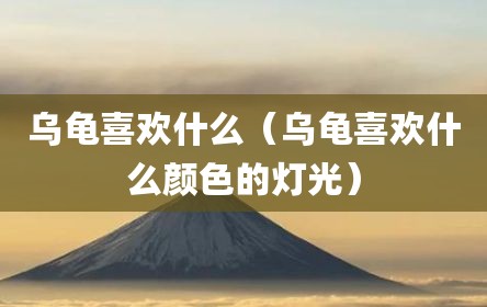 乌龟喜欢什么（乌龟喜欢什么颜色的灯光）