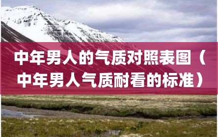 中年男人的气质对照表图（中年男人气质耐看的标准）