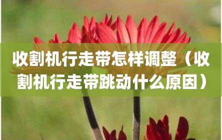 收割机行走带怎样调整（收割机行走带跳动什么原因）