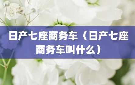 日产七座商务车（日产七座商务车叫什么）