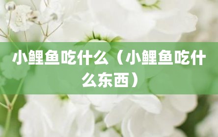 小鲤鱼吃什么（小鲤鱼吃什么东西）