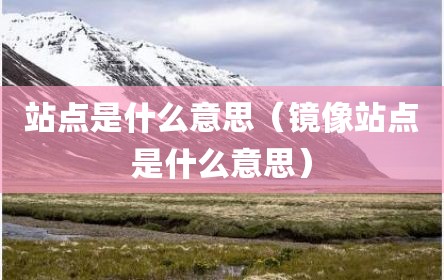 站点是什么意思（镜像站点是什么意思）
