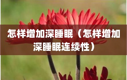 怎样增加深睡眠（怎样增加深睡眠连续性）