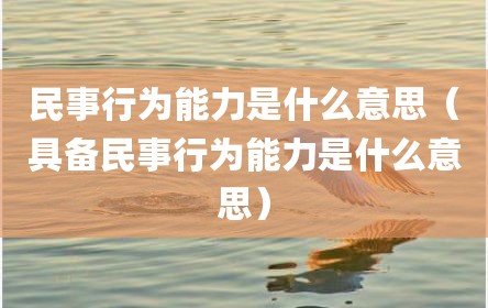 民事行为能力是什么意思（具备民事行为能力是什么意思）