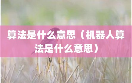 算法是什么意思（机器人算法是什么意思）