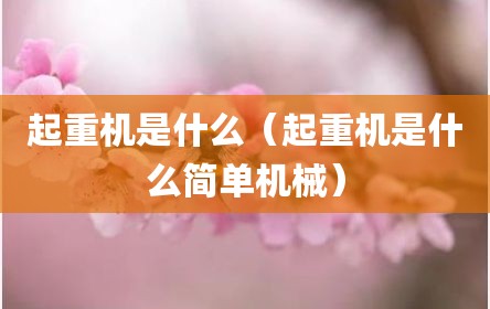 起重机是什么（起重机是什么简单机械）