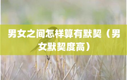 男女之间怎样算有默契（男女默契度高）