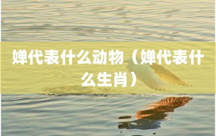 婵代表什么动物（婵代表什么生肖）