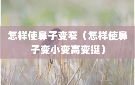 怎样使鼻子变窄（怎样使鼻子变小变高变挺）