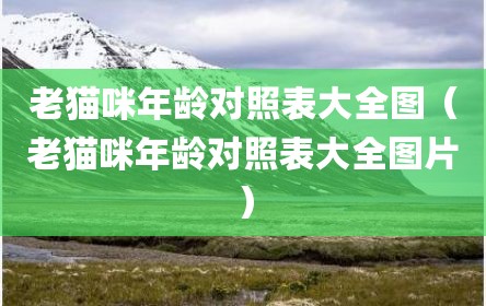 老猫咪年龄对照表大全图（老猫咪年龄对照表大全图片）